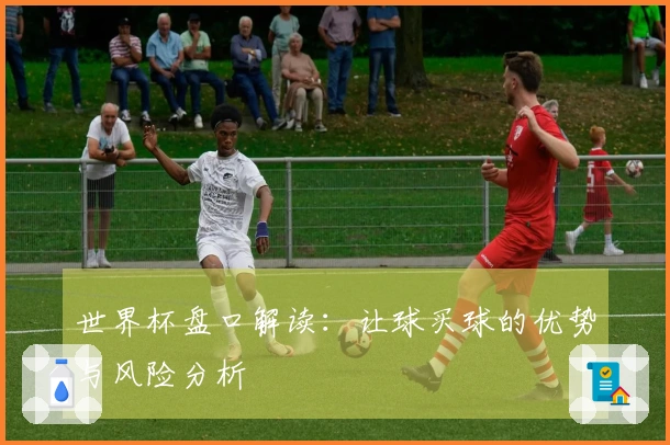 世界杯盘口解读：让球买球的优势与风险分析
