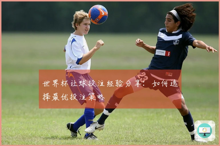世界杯让球投注经验分享：如何选择最优投注策略