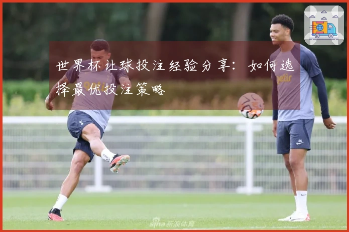 世界杯让球投注经验分享：如何选择最优投注策略