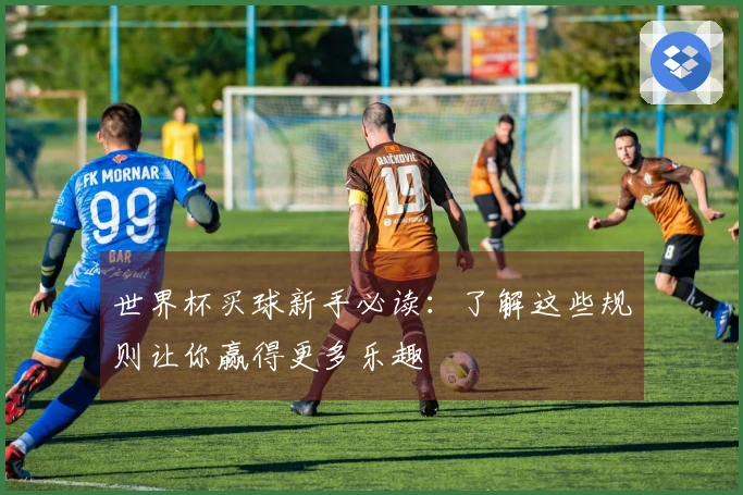 世界杯买球新手必读：了解这些规则让你赢得更多乐趣
